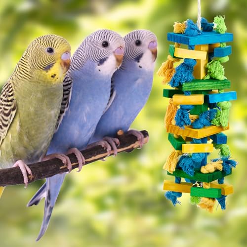 Seenelling 3 Pcs Extra Large Bird Toys for Parrots, Blue Block | Multicolored Natural Wooden Blocks & Beads Bells, Bird Cage Chewing Toys for Large Medium Macaws African Grey Cockatoos - style: Blue Block