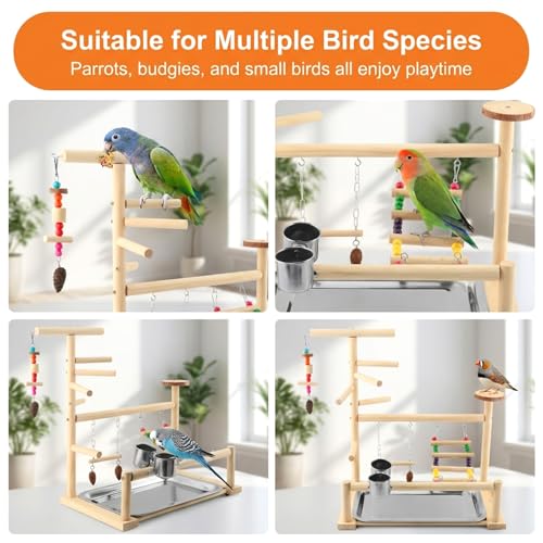 Bird Playground, Natural Pine Wood Parrot Stand with Swing, Climbing Ladder, Chew Toy and Perches, Bird Play Stand for Parakeets, Budgies, Cockatiels and Small Birds