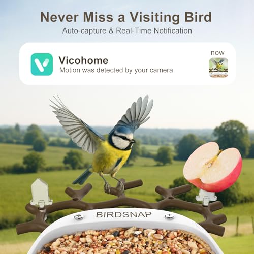 Smart Bird Feeder with Camera Solar Powered 2K HD Live Video with 32GB Card | AI Identifies 10,000+ Bird Species, Instant Alerts, IP65 Waterproof, Easy Setup, Bird Watching Gift for Bird Lovers - color: Brown