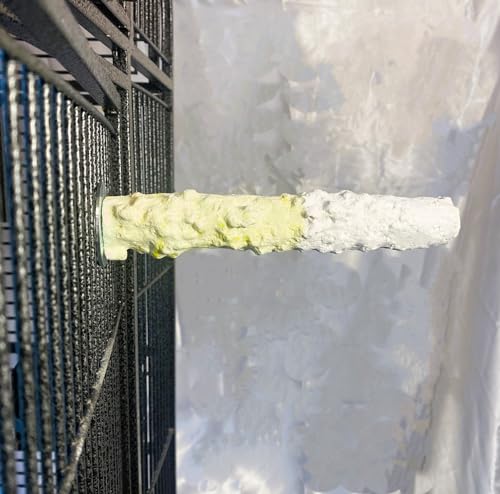 Polly's Edible Cuttlebone Calcium Bird Cage Perch for Budgies, Parakeets, Amazons, Blue & Golds, Macaws and Cockatoos.… (Pineapple, Medium) - color: Pineapple, size: Medium