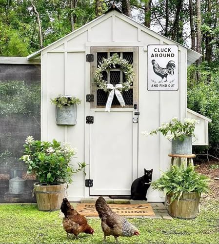 Smilelife Funny Chicken Gifts Chicken Cluck Around and Find Out Tin Sign for Home Farm Chicken Coop Farmhouse Kitchen Garden Decor 8 X 12 Inch (3020) - color: White