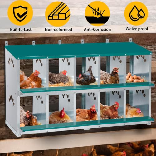 Chicken Nesting Box, 10 Compartment Nesting Box, | 10 Room Metal Nesting Boxes for Chicken, Green