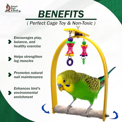 Sweet Feet and Beak Whirly Bird Swing, Small Indoor Pedicure Perch - size: Small