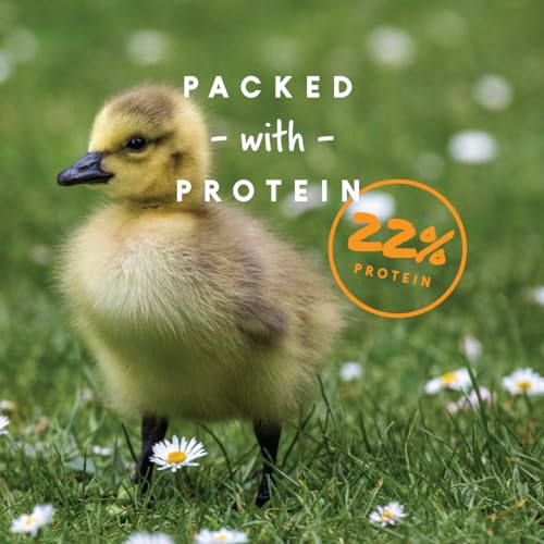 Manna Pro Duck Starter Grower Crumble with Probiotics, 8 lb Bag | Complete Duckling Feed, Added Probiotics, Supports Healthy Growth & Digestion, For Ducks & Young Geese - size: 8 Pound (Pack of 1)