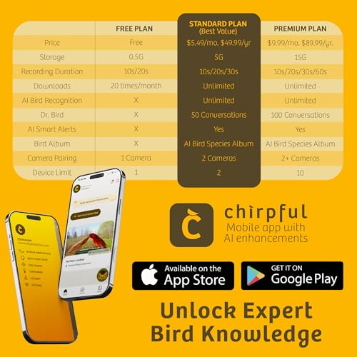 Birds Choice Smart Bird Feeder with Camera | Solar Powered Bird Watching for Outdoors | AI to Identify Bird Species, Capable of Real-Time Streaming | Wireless with Camera, Waterproof Construction | AI Species Recognition Motion-Activated Ultra HD Video an