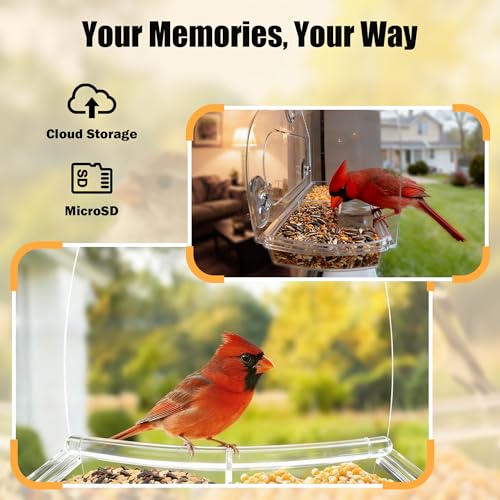 Window Bird Feeder with Strong Suction Cups & Smart Waterproof Bird Camera | 2K Clear Vision, AI Bird Recognition Tech, Real-Time Alerts, Easy to Use, Detachable Tray, 2.4G, USB Powered, for Home - color: Black