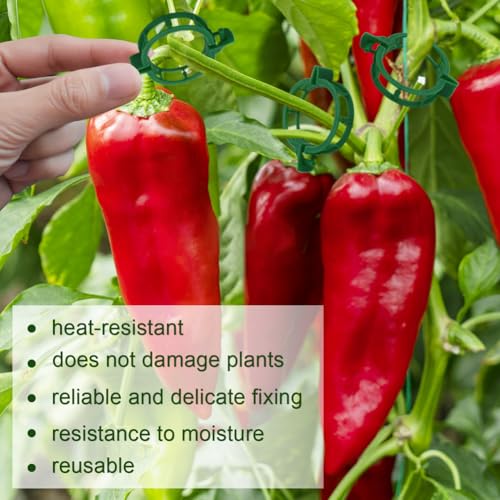 200 Pcs Plant Support Tomato Clips, Garden Clips, Crop Clips for Vine Vegetables, Fixing Tomato, Sweet Pepper, Eggplant, Makes Plants Grow Upright and Healthier（Green） - color: Green