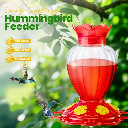 Hummingbird Feeders for Outdoors 20 OZ Hanging Hummingbird Feeder with Ant Moat & 6 Feeding Ports and Perch, Nectar Feeder for Garden, Yard, Deck