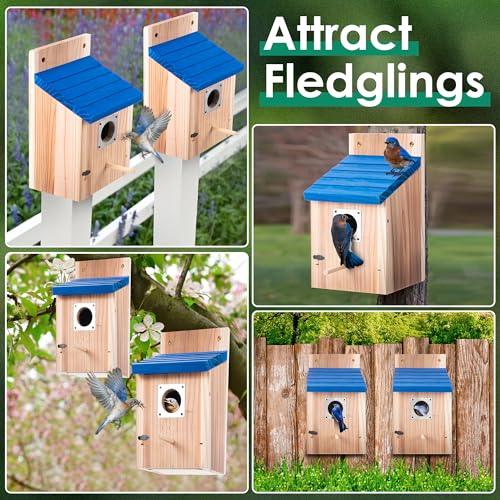 Dreyoo 4 Pack Bluebird Houses for Outside, 1-1/2'' Entrance Hole Wooden Bluebird Houses for Outdoors with Metal Guard, Secure Latch, Fledgling Grooves, Air Vents (Blue Roof with Wood Body)