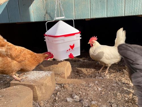 RentACoop Chick2Chicken 10lb Feeder & 2 Gallon Waterer Set - size: Set with Nipples and Auto-Refill Cups