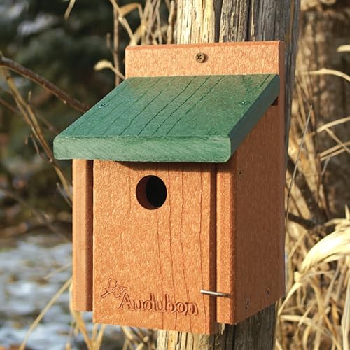 Audubon Going Green Wren House Model NAGGWREN