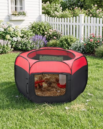 Magicfly Brooder Box for Chick, Chicken Brooder Box Holds up to 15 Chicks | Pop-Up Brooder Box for with Dual Doors, Chicks Starter Kit Includes Chicken Feeder, Waterer, Perch - color: Basic Starter Kit
