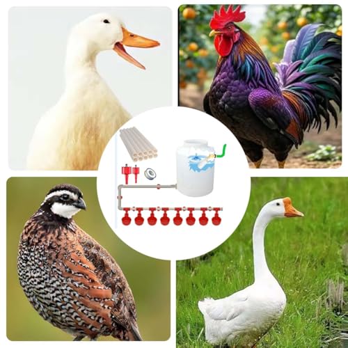 Complete Set Automatic Chicken Waterer Cups with PVC Pipe,Chickens Water Cups, Chicken Waters,Poultry Waterer,Chickens Watering System,Poultry Waterer,Durck Watering System,for quails, geese and ducks