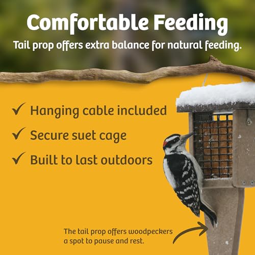 Birds Choice Pileated Suet Feeder with Tail Prop, Holds 2 Suet Cakes | Hanging Suet Bird Feeder for Woodpeckers, Jays, Nuthatches | Sturdy for Garden & Backyard | Taupe & Brown, 8" L x 3" W x 22.5" H | Holds 2 Suet Cakes, Durable Recycled Material, 8in x