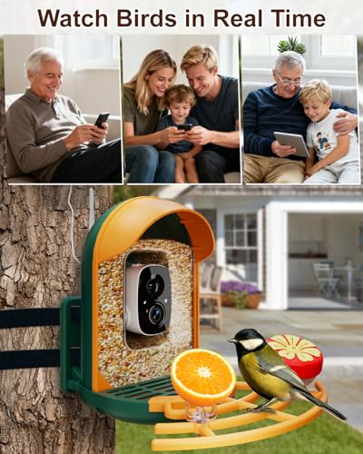 Smart Bird Feeder with Camera, Solar Powered, 2K HD, Night Vision | Watch birds in stunning 2K, receive app alerts, enjoy wireless setup, solar charging and reliable IP66 outdoor durability - color: Green, size: With Stand
