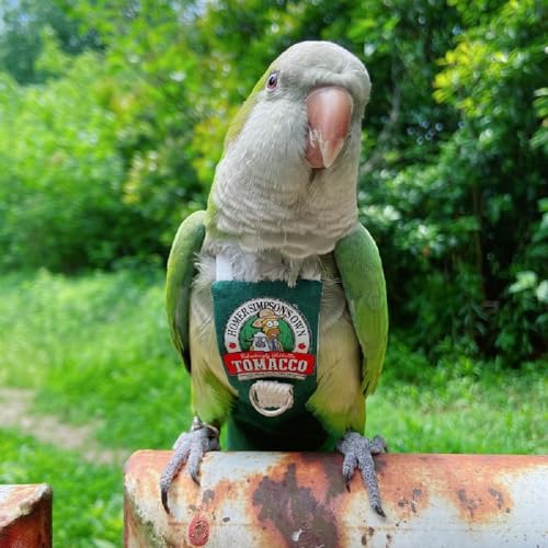PARREN Bird Clothes Parrot diapers bird flight suits, reusable waterproof diapers pet bird supplies (M), Green