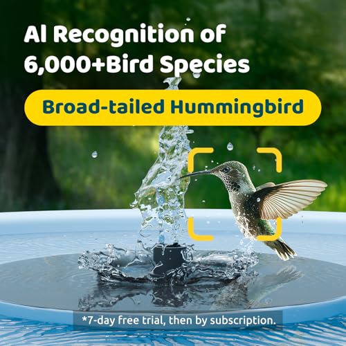 Smart Bird Bath with Camera Solar Powered & Fountain & Stand, Dual-Lens Camera for Wildbird Watching, Auto Capture Bird Videos & Motion Detection - AI by Subscription - style: AI by Subscription