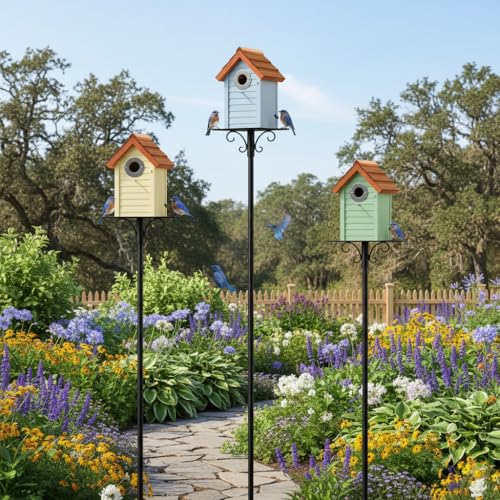 3pk Bluebird Bird Houses for Outside Clearance - Bird House for Wall Mounting - Tree Swallow Nest Box with Stainless Steel Predator Guard - Cedar Shingles Roof UV Painting - 10 Years Outdoor