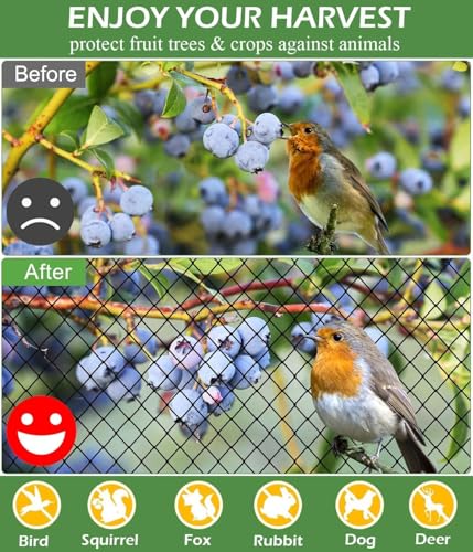 Bird Netting for Chicken Coop 50 X 50 Ft 2" Square Mesh Heavy Duty Chicken Run Netting Roof Cover Against Hawks, Eagles, Owls, UV Resistant, for Garden, Fruit Tree, Plant, Vegetable Protection - size: 2 inch mesh - 50 x 50 ft
