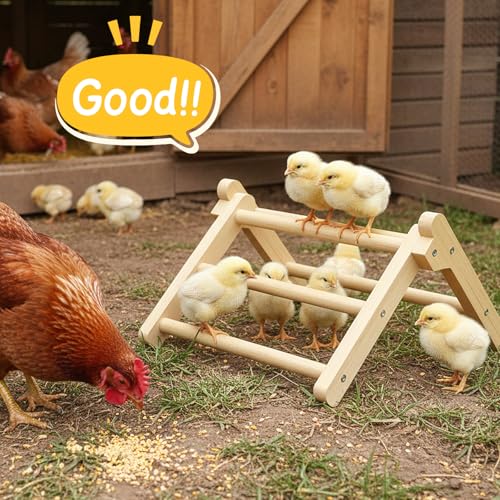 Chick Perch Foldable, Perch for Chicks Stable & No Assemble | Chick Roosting Perch for Stand Training, 11.02" × 9.84" × 6.10" Baby Chick Toys for Chicken Brooder | Coop (M) - size: 11.02" × 9.84" × 6.10"