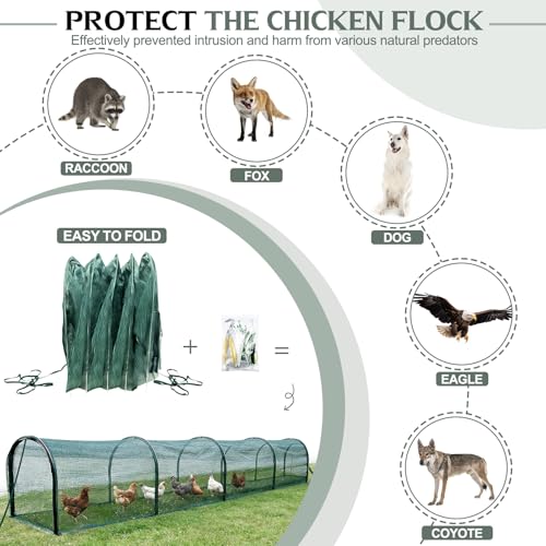 Foldable Chicken Tunnel – Instant Setup, No Assembly Required, 157 Inch Portable Chicken Run for Yard, Expandable Outdoor Tunnel (157 * 30 * 24 inches)