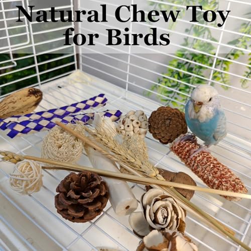Parrot Foraging Toys Bird Chew Shredding Toys Parakeet Cage Accessories | Burlywood,Box Packaging,Cockatiel Toys,for Parakeets Cockatiels Conures Lovebirds,Helps Reduce Stress & Cage Boredom - color: Burlywood