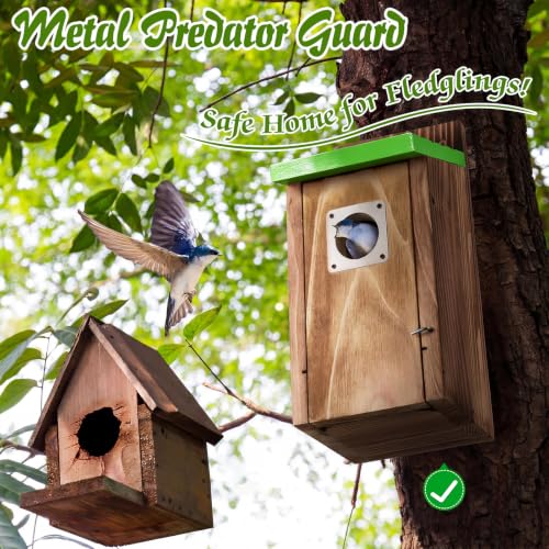 Dreyoo 2 Pack Bluebird Box Houses for Outside,1-1/2'' Entrance Hole Wooden Bird Houses with Metal Guard, Secure Latch,Fledgling Grooves,Air Vents for Bluebird Wren Swallow(Green Roof,Burnt Wood Body) - color: Green Roof,Burnt Wood Body