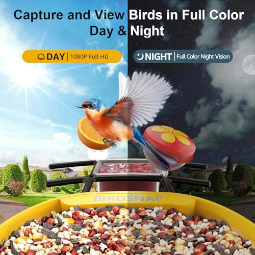 birdsnap® PAV Bird Feeder with Camera Solar Powered 2K Live Video 64GB Card | AI Bird Species Identification, Instant Arrival Alerts, IP65 Waterproof, Wild Bird Feeders for Outdoors, Gift for Bird Lovers - color: Dark Yellow