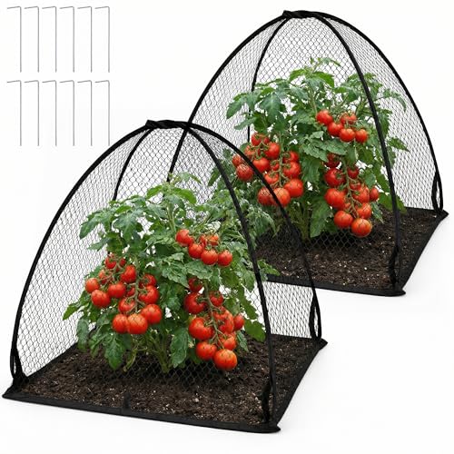 DECOHS 2 Pcs Pop-Up Mesh Plant Cover Tent, 30 x 28 x 28 Inch Garden Net Cage Guard Cover, Plant Protector Enclosure with 12 Ground Stakes for Protecting Plants Vegetable Fruit from Birds Insects - color: 30 x 28 x 28 inch