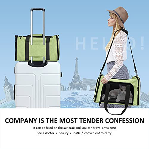 Henkelion Large Cat Carriers Dog Carrier Pet Carrier for Large Cats Dogs Puppies up to 25Lbs, Big Dog Carrier Soft Sided, Collapsible Travel Puppy Carrier - Large - Green - color: Green, size: 20.0"L x 13.0"W x 13.0"H