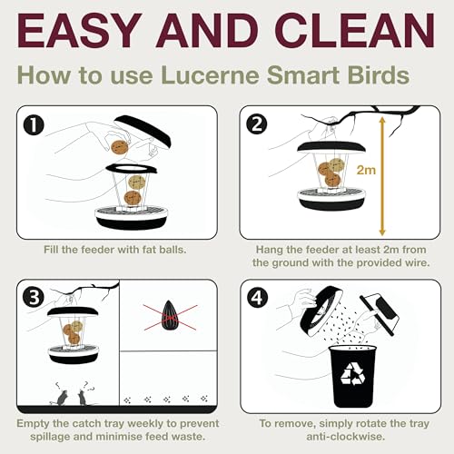 SWISSINNO Bird Feeders - No Mess Fat Ball/Suet Feeder for Outdoors Hanging - Smart Birds Lucerne Spill Proof Wild Cardinal Bird Feeder with Integrated Seed Catcher Tray - Light Grey - color: Light grey, style: Lucerne