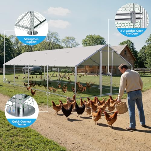 Large Metal Chicken Coop, Outdoor Chicken Run with Cover, 10 x 26 x 6.5 FT | Heavy-Duty Poultry Enclosure & Chicken Pen with Split Doors, Galvanized Steel Frame, Free Wire Mesh Fence and Roosting Ladder - size: 10' x 26'