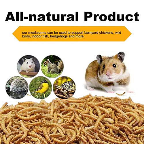 1lbs Dried Mealworms for Chickens Duck High Protein Birds Treat | Worms Raised on a Clean Natural Diet, Hand Inspected Animal Feed Snacks for Turtles, Fish, Hamsters, Hedgehogs, Reptiles - size: 1 Pound (Pack of 1), style: Mealworms