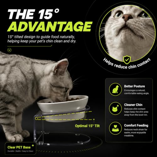 Raised Cat Bowl, 15° Tilted, 4.5 in High, White | 15° tilted shallow melamine bowl on a 4.5 in raised stand supports comfortable feeding and reduces whisker contact. - color: White