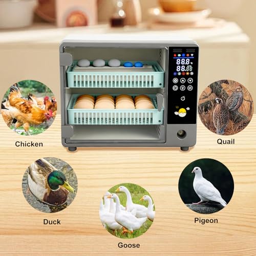 24 Egg Incubator Auto Turner Water Control Adjustable Tray Candler | Auto Temp Humidity Control, Built-in Egg Candler Light, Fits Chicken Duck Quail Pigeon Eggs, High Hatching Rate