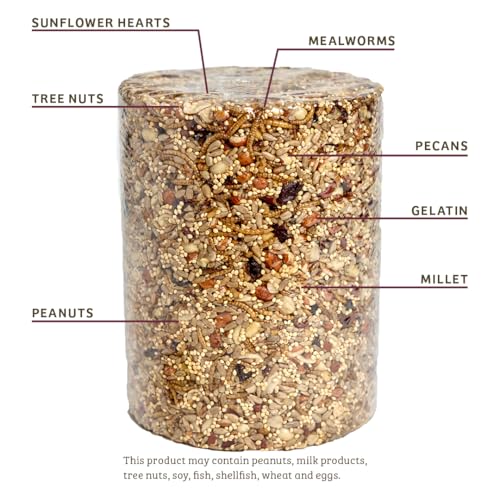 Birds Choice Bugs 'N Nuts Cylinder Seed | Wild Bird Food with Insects & Fruit | High-Energy Mix of Sunflower Hearts, Peanuts, Mealworms & Tree Nuts | High Protein & Bird Feed | 5.5 lbs (2-Pack) | High-Energy Mix of Sunflower Hearts, Peanuts, Mealworms and