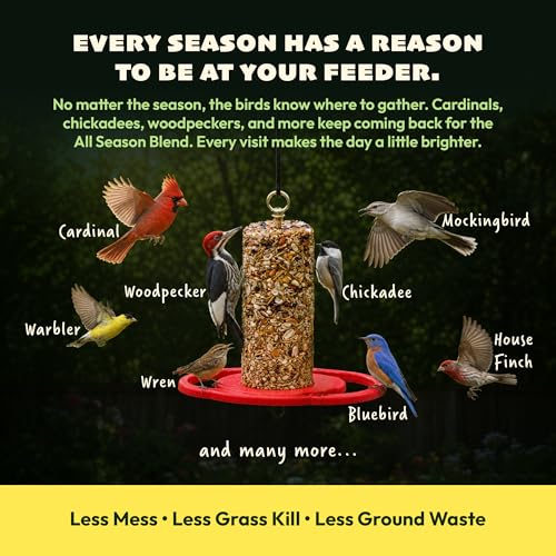JCs Wildlife All Season Blend Bird Seed Cylinder with Hole, Suet Safflower Pecans Wild Bird Food for Outside Feeders, Cardinals Woodpeckers Chickadees Nuthatches, Made in the USA, 1.75 lb, Pack of 6