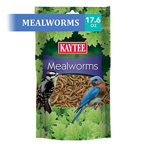 Kaytee Wild Bird Food Mealworms For Bluebirds, Wrens, Robins, Chickadees, Woodpeckers, Cardinals & Chickens, 17.6 Ounce - size: 1.1 Pound (Pack of 1)