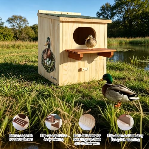 Large Wood Duck House – Weatherproof Roof, Duck Perch Platform | Duck nesting box for yards, ponds, wetlands. Predator-proof entrance, duckling ladder, easy-clean. Fits trees, posts, walls.
