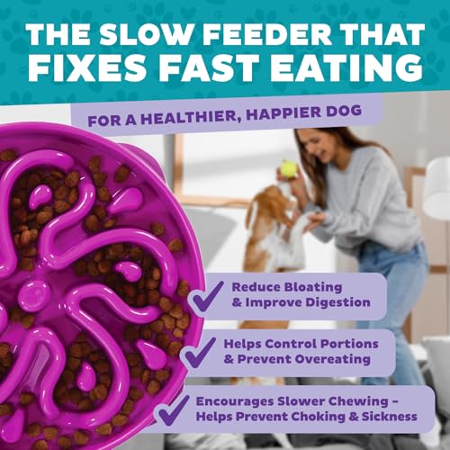 Outward Hound Fun Feeder Slo Bowl – Large 4‑Cup Capacity,Slow Feeding,Medium to Large Dogs,Non‑Slip,Purple,Flower Pattern,(Pack of 6) - color: Purple, size: Large (Pack of 6)