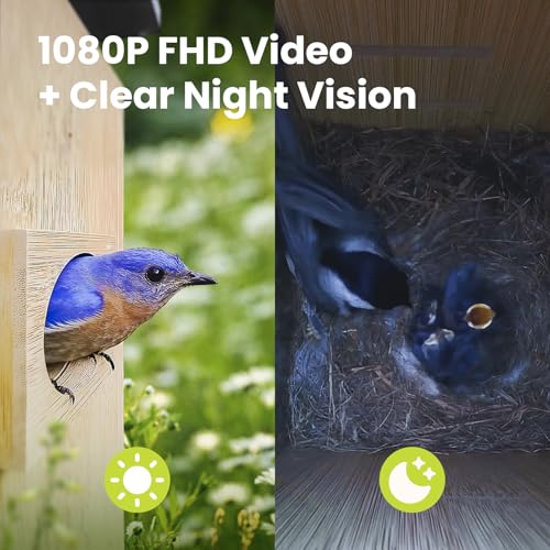 Smart Bird House with Dual 1080P Cameras, Lifetime Free AI Bird ID | Solar Powered, Remote Control, Bamboo Bird Nest for Garden & Bird Lovers, Watch Robin Nesting Story in Realtime, DIY Gift