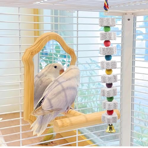 KABASI 2Pack Mineral Block Chicken Chewing Toy, Bird Beak Grinding Stone | with Bells, Chicken Coop Calcium StoneAccessories for African Grey, Budgies Cockatiels Parrot Hens Geese Ducks Hamster Rabbit