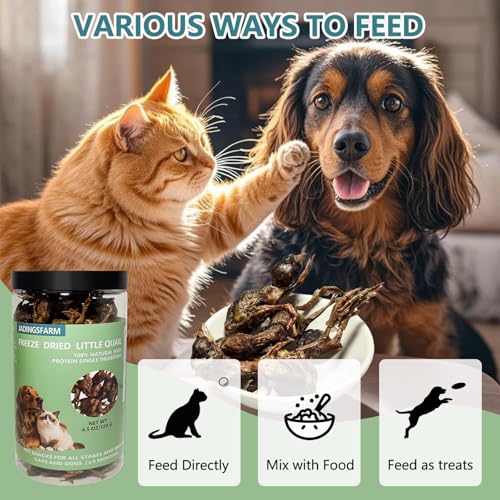 Freeze Dried Little Quail, 4.5 Oz Quail Dogs Cat Treats, Single Ingredient Freeze Dried Cat and Dog Treats Delicious Training Snacks, Natural Food Healthy Animal Protein Pet Food - size: 4.5 Ounce (Pack of 1)