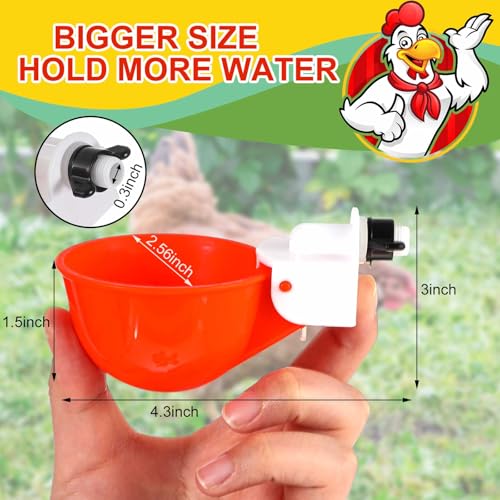Tanlade 50 Packs Chicken Waterer Cups Large Chicken Feeder, Automatic Waterer Cups Kit for Poultry Chicks Duck Goose Turkey Bunny(Orange) - color: Orange