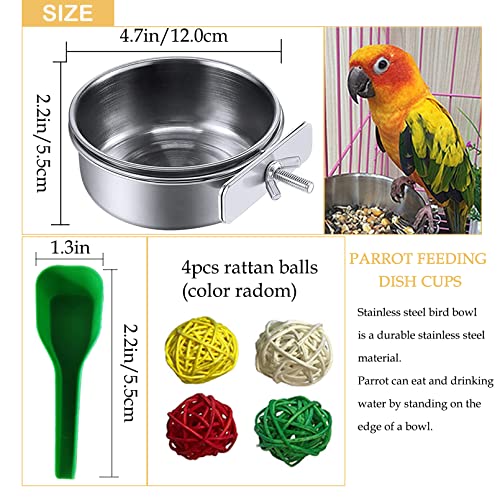 kathson Stainless Steel Bowls for Birds,4 Pcs Parrot Feeder Dish Cups,Bird Cage Water Food Bowl Coop Cup with Clamp Holder for Parrots Cockatiel Budgies Parakeet Lovebird(M) - size: 【M:4.7x2.2 Inches】