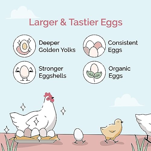 Mile Four Organic Chicken Feed, Layer Mash, Non-GMO, USA Grown 23 lbs | 16% Protein; Corn & Soy-Free; USA Grown; Non-Medicated; No Fillers or Additives; Supports Egg Production; Family Farm Sourced - size: 23 Pound (Pack of 1), style: Mash