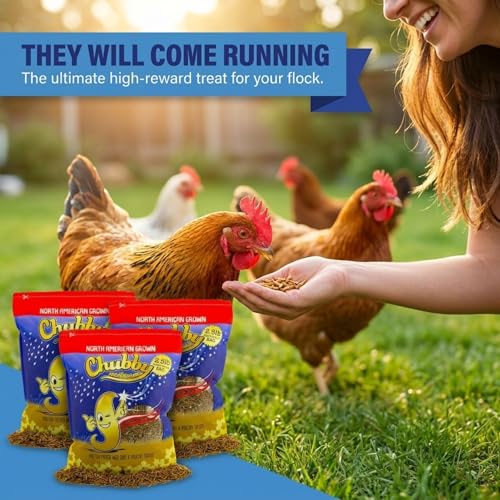 Chubby North American Grown Dried Mealworms | 7.5 lbs | Non-GMO High-Protein Treats for Chickens, Ducks & Wild Birds – Sustainable Chicken Feed - size: 7.5 Pound (Pack of 3)