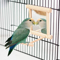 Litewoo Bird Mirror with Perch Parrot Swing Interactive Play Toys, 1 PC | Natural wood, with perch, 3.94"x3.94"x3.94", reduces loneliness, easy hang on cages, for small bird/parakeet/conure/lovebird - color: Bird Mirror Perch Stand-ONE