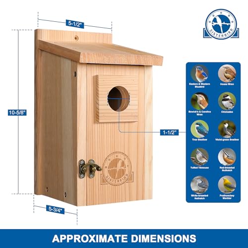 SISTERBIRD Bluebird Houses for Outside, Blue Bird Houses for Outdoors, Premium Bird House, Pack of 2 Bluebird House, Wooden Birdhouses Kits for Adults for Durable Yard Decor - color: Burly Wood -- 2PK