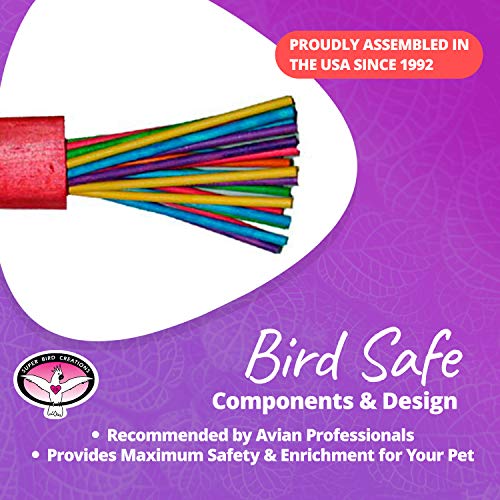 Super Bird Creations - SB301 Chewable Paper Party Bird Toy with Colorful Lollipop Sticks - Ringnecks Medium Conures Parrot - Chew Enthusiasts - Enriching Bird Toys for Medium to Large Birds - 1-Pack - size: Large